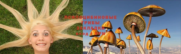 мяу мяу мука Иннополис