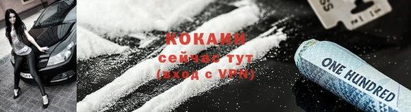 винт Инта