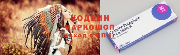 винт Инта