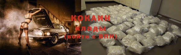 винт Инта