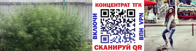 Купить закладки Володарск ТГК концентрат