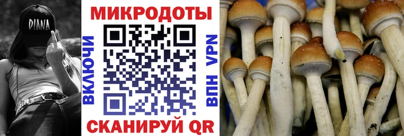 Галлюциногенные грибы ЛСД  Купить где  Володарск 