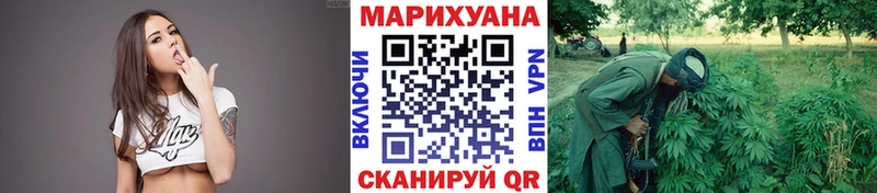 Шишки марихуана марихуана  Купить где  Володарск 